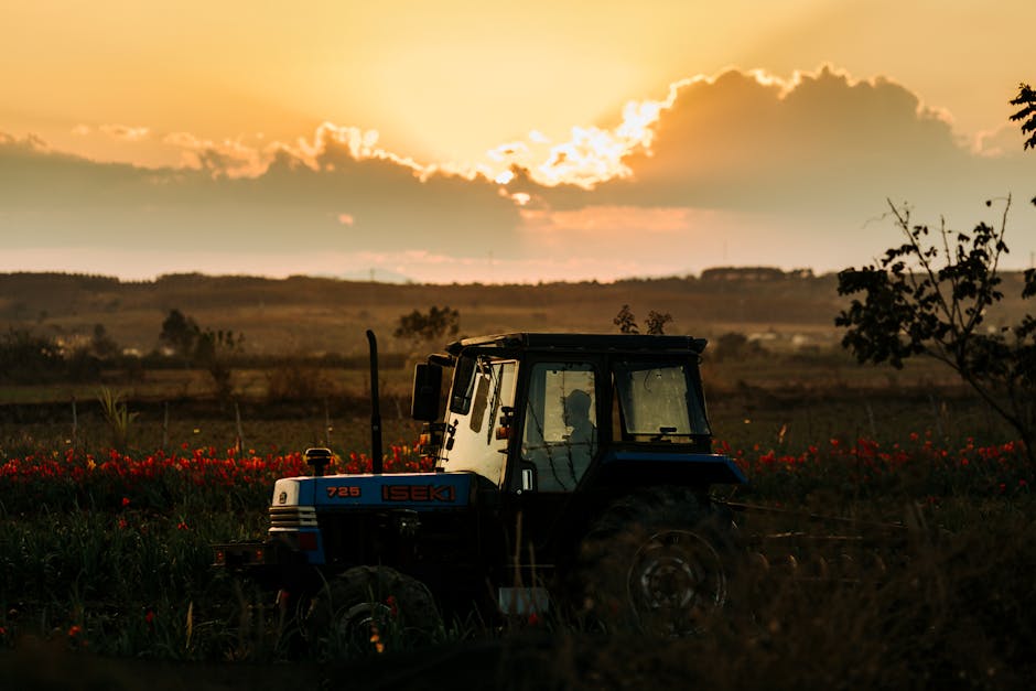 探索二手小型遊艇的無限樂趣